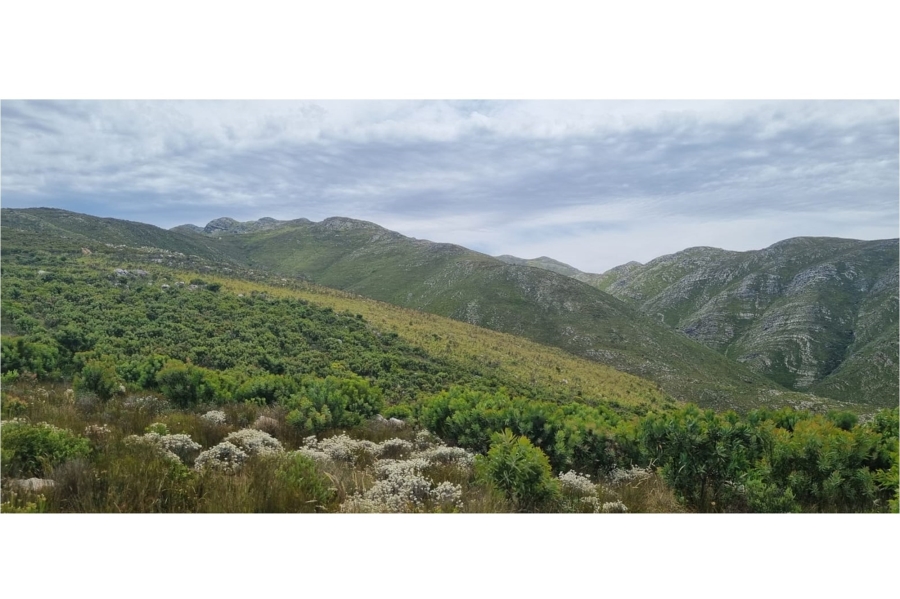 0 Bedroom Property for Sale in Uniondale Rural Western Cape